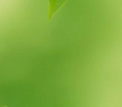 Hdpe bis